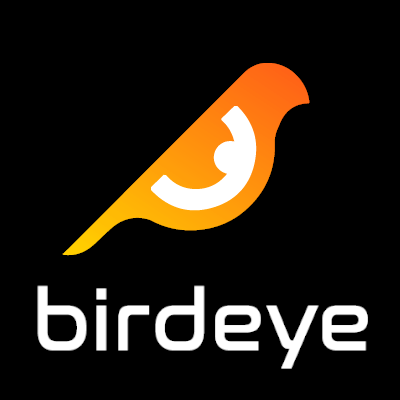 Birdeye logo for shepe solana